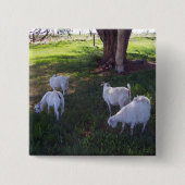 4頭のヤギ 缶バッジ (正面)