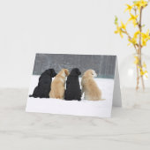 4頭のラブラドール犬が雪の中 カード (黄色い花)