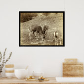 4鹿食べ物の春ホットSD 1891 ポスター (キッチン)