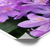 4黄色の子猫 ポスター (角)