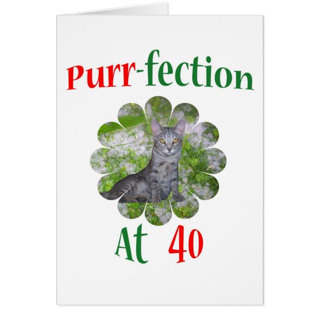 40のどを鳴らす音Fection (正面)