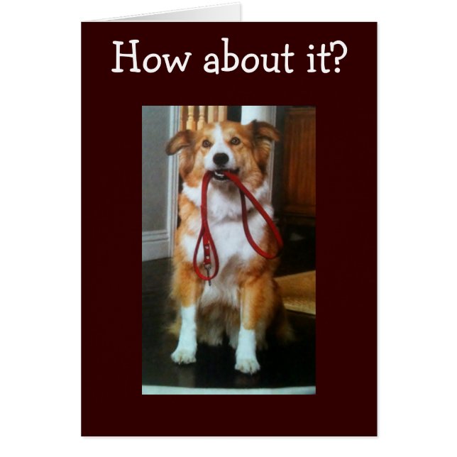 40は世界の終わりではない (正面)