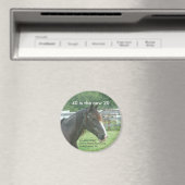 40は新20だ マグネット (インサイチュ (食洗機))