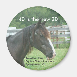 40は新20だ マグネット