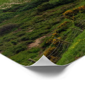 40シェード/緑 ポスター (角)