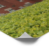 40マイルポイントライトハウス ポスター (角)