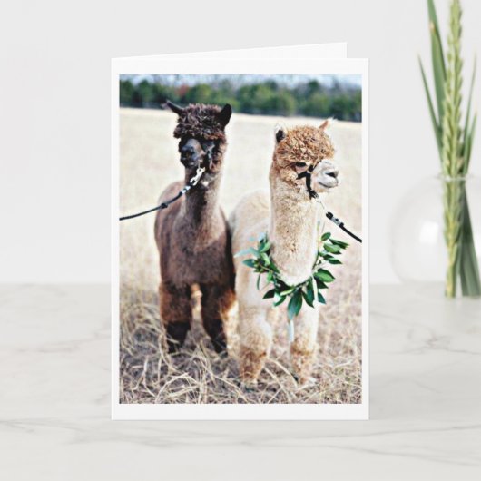 40信じ位の祝誕生日 カード (正面)