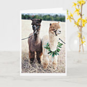 40信じ位の祝誕生日 カード (黄色い花)