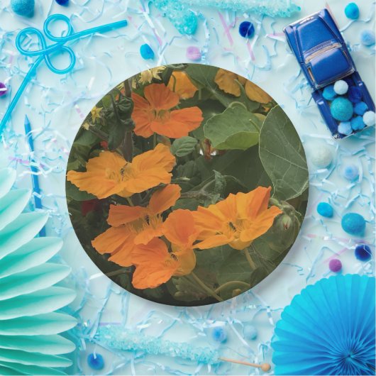 40周年ナストル結婚チウム代替品 ペーパープレート (パーティー)