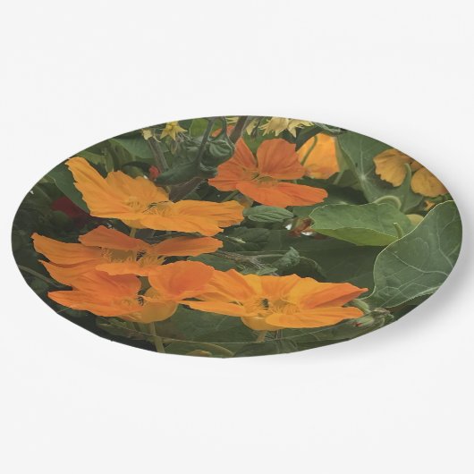 40周年ナストル結婚チウム代替品 ペーパープレート (アングル)