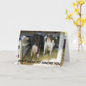 40日にあなたを無視するつもりはない カード (黄色い花)