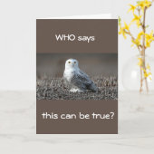 **40日**これは「本当か」と言う人は? カード (黄色い花)