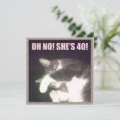 40歳おもしろいの誕生日（猫） カード (スタンド正面)