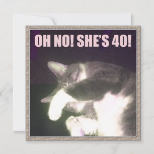 40歳おもしろいの誕生日(猫) カード