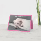 40歳の誕生日に隠れた悲しい犬の写真 カード (正面)