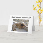 40歳の誕生日を無駄にし、20歳を過ごす カード (黄色い花)