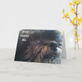 40歳の誕生日カード カード (黄色い花)