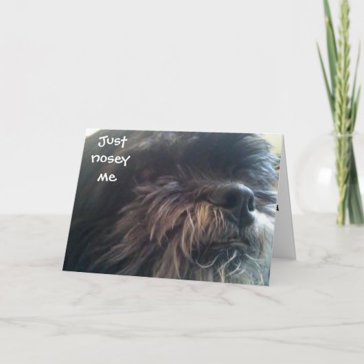 40歳の誕生日カード カード (正面)