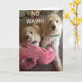 **40歳の誕生日**かわいいPUPSカードからの願い カード (黄色い花)