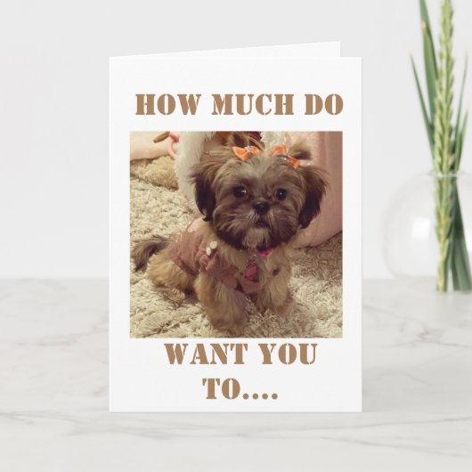 **40歳の誕生日**この甘い子からの願い カード (正面)