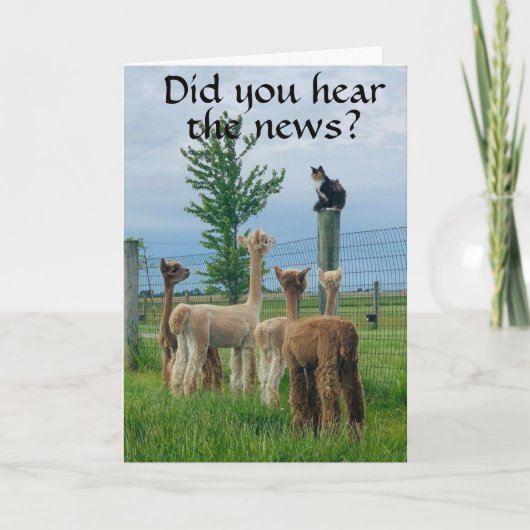 **40歳の誕生日**は、それほど悪くないといううわさだ カード (正面)