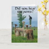 **40歳の誕生日**は、それほど悪くないといううわさだ カード (黄色い花)