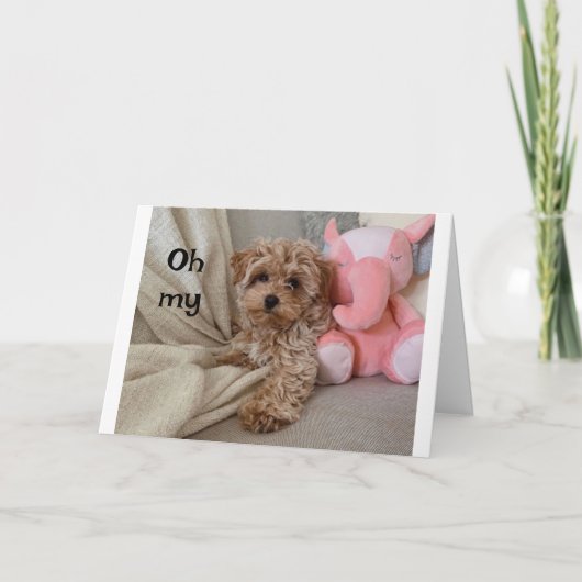 *40歳の誕生日*「ほえる」もの カード (正面)