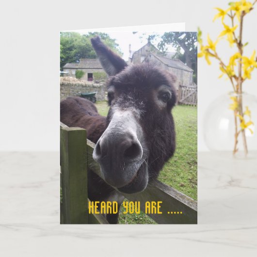 40歳の誕生日 カード (黄色い花)