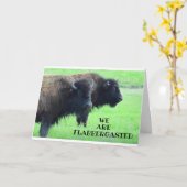 ****40歳の誕生日***コメディックバッファロー カード (黄色い花)