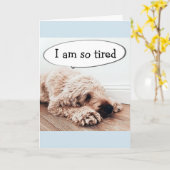 **40歳の誕生日**疲れた犬もおもしろい犬 カード (黄色い花)