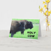 ****40歳の誕生日*** COMEDIC BUFFALO出身 カード (黄色い花)