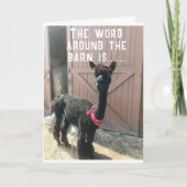 「40歳の誕生日???ITカード信じができない カード (正面)