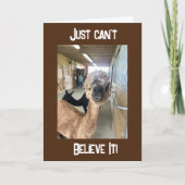 「40歳の誕生日???ITカード信じができない カード (正面)