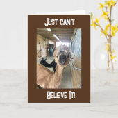 「40歳の誕生日???ITカード信じができない カード (黄色い花)