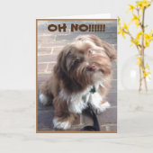 **40歳の誕生日** OH NO SAYS PUPPY カード (黄色い花)