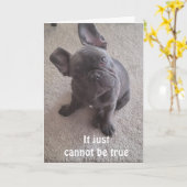 *40番目の誕生日カードは、TRUE***になれません。 カード (黄色い花)