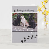 4004ボスの日の犬、すべての米国 カード (黄色い花)