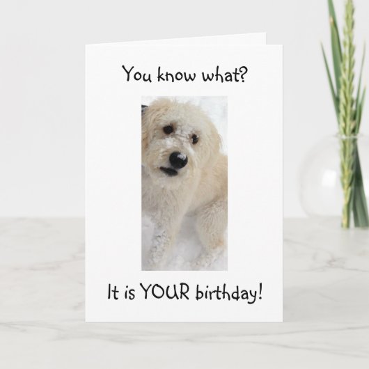 「40」に適したウーフユー カード (正面)