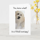 「40」に適したウーフユー カード (黄色い花)