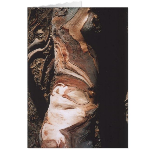 40. 吠え声パターン、カリフォルニア (正面)