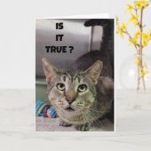 **40**誕生日 カード (黄色い花)