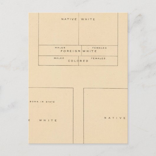 41人口の要素1900 ポストカード (正面)