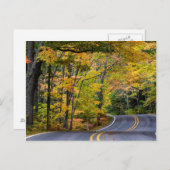 41号線沿いの秋の色彩豊かな樹冠 ポストカード (正面/裏面)