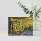 41号線沿いの秋の色彩豊かな樹冠 ポストカード (スタンド正面)