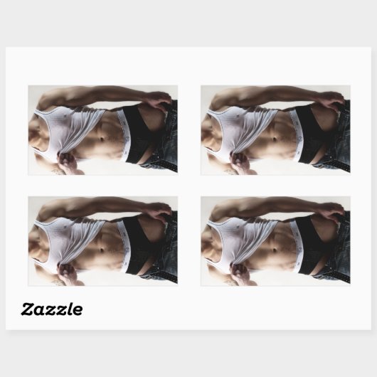 41786aハンク 長方形シール (シート)