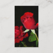 419紅薔薇黒背写真美しい 名刺 (裏面)