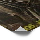 41、5日 ポスター (角)