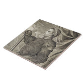 41 - 54広告からのローマのD. Claudiusシーザー皇帝 タイル (側面)