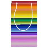 42ストライプRainbow Spectrum スモールペーパーバッグ (正面)
