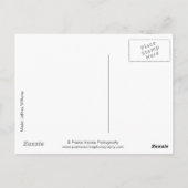 42067aカウボーイ ポストカード (裏面)